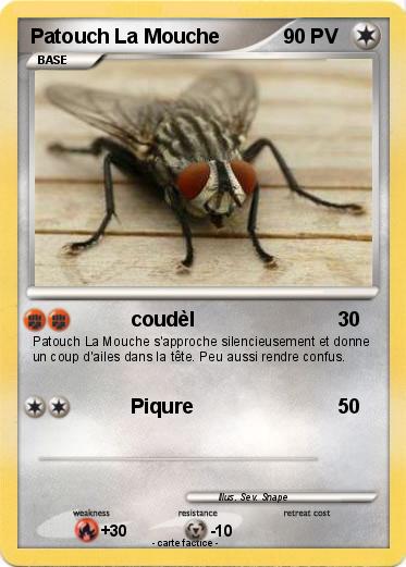 Pokemon Patouch La Mouche