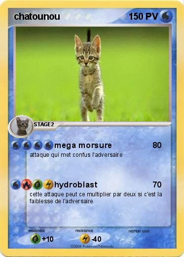 Pokemon chatounou