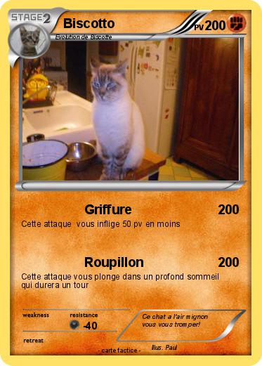 Pokemon Biscotto