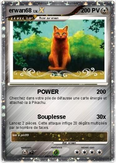 Pokemon erwan68