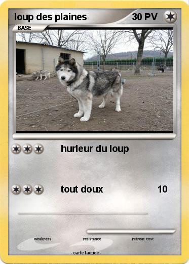 Pokemon loup des plaines