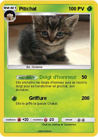 Pokemon Pitichat