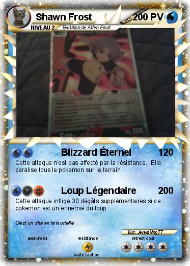 Pokemon Shawn Frost