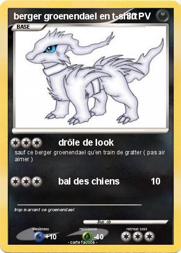 Pokemon berger groenendael en t-shirt