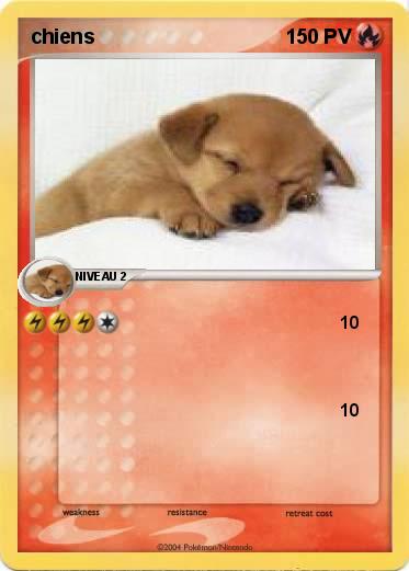 Pokemon chiens