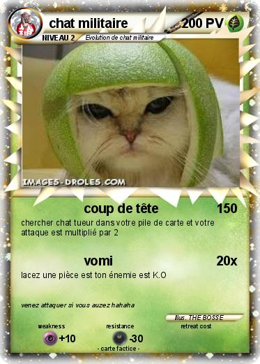 Pokemon chat militaire