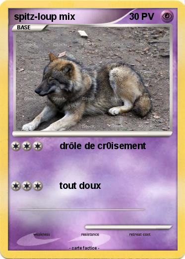 Pokemon spitz-loup mix