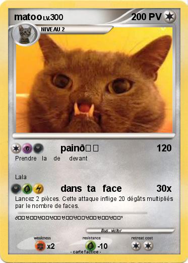 Pokemon matoo