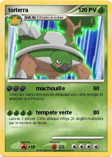 Pokemon torterra
