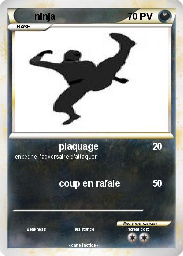 Pokemon ninja