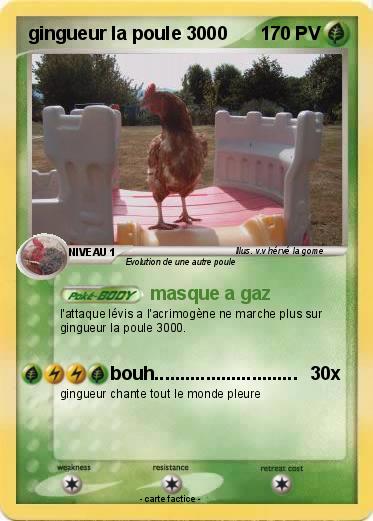 Pokemon gingueur la poule 3000