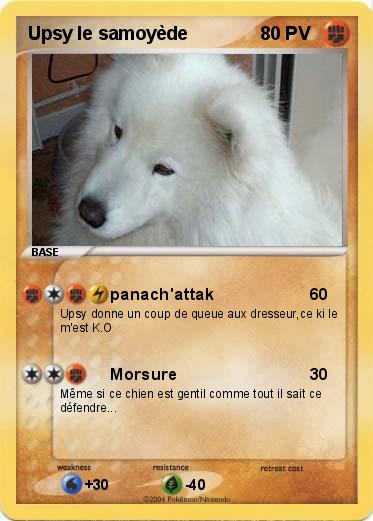 Pokemon Upsy le samoyède
