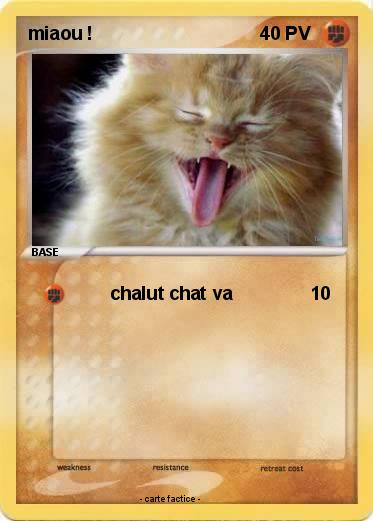 Pokemon miaou !