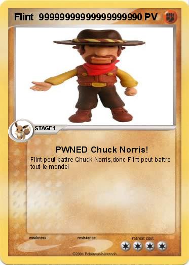 Pokemon Flint  999999999999999999