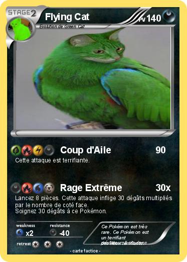 Pokemon Flying Cat