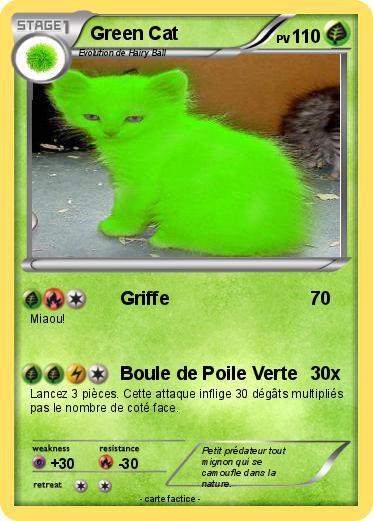 Pokemon Green Cat