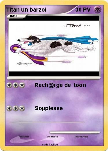Pokemon Titan un barzoi
