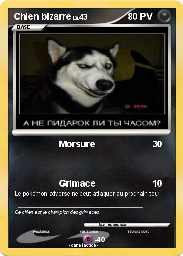 Pokemon Chien bizarre