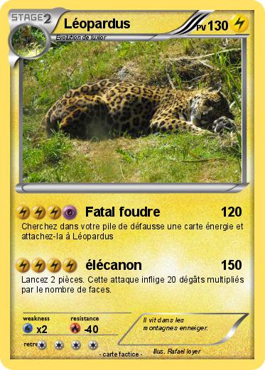 Pokemon Léopardus