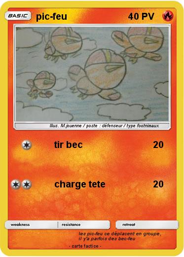 Pokemon pic-feu