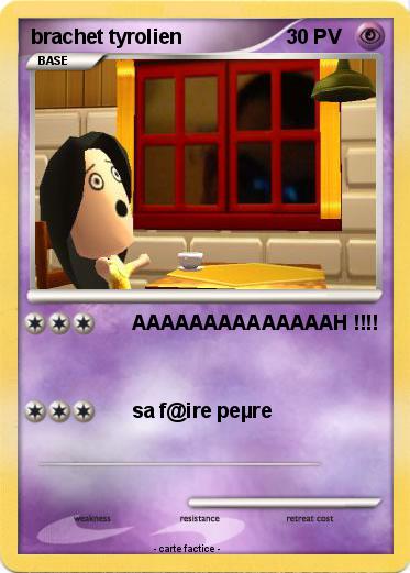 Pokemon brachet tyrolien