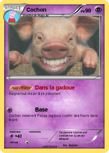 Pokemon Cochon