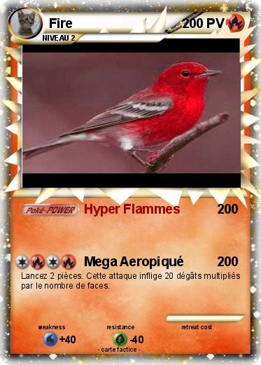 Pokemon Fire