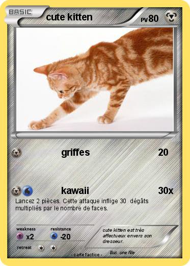 Pokemon cute kitten