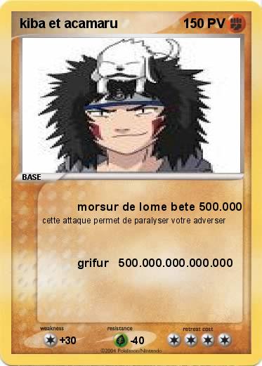 Pokemon kiba et acamaru
