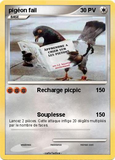 Pokemon pigéon fail