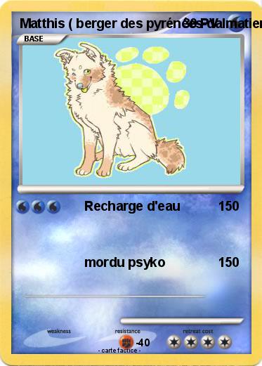 Pokemon Matthis ( berger des pyrénées-dalmatien mix )