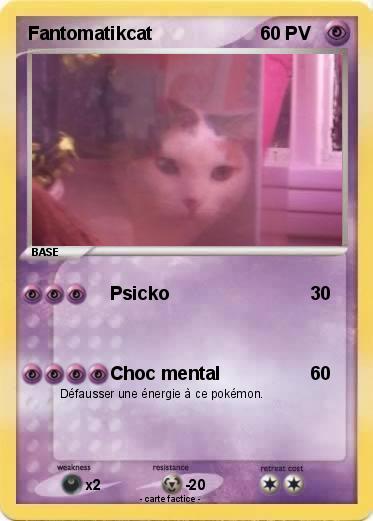 Pokemon Fantomatikcat