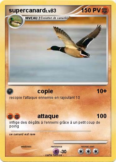 Pokemon supercanard