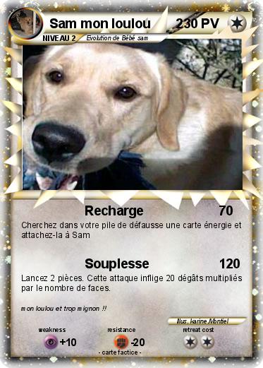 Pokemon Sam mon loulou       2