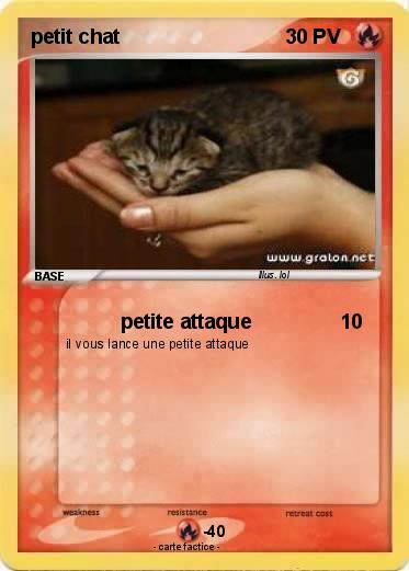 Pokemon petit chat