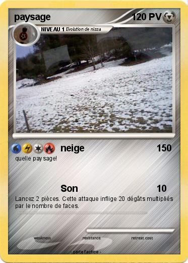 Pokemon paysage