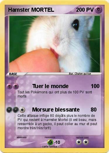 Pokemon Hamster MORTEL