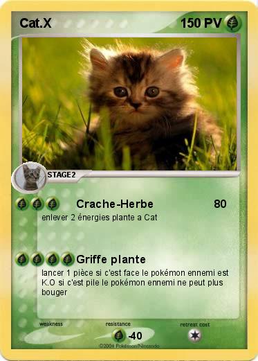 Pokemon Cat.X