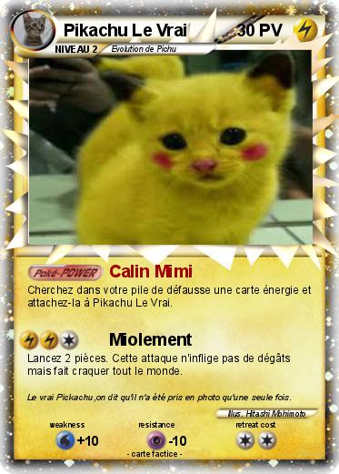 Pokemon Pikachu Le Vrai