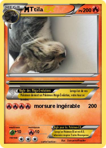 Pokemon Ttila