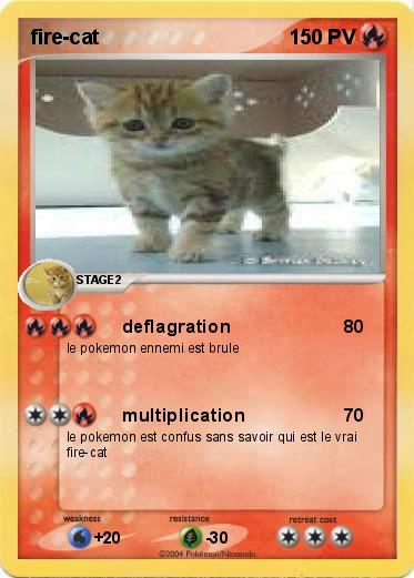Pokemon fire-cat