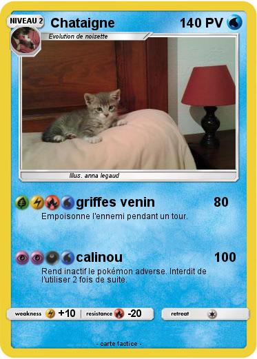 Pokemon Chataigne