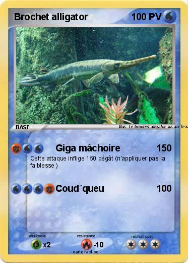 Pokemon Brochet alligator