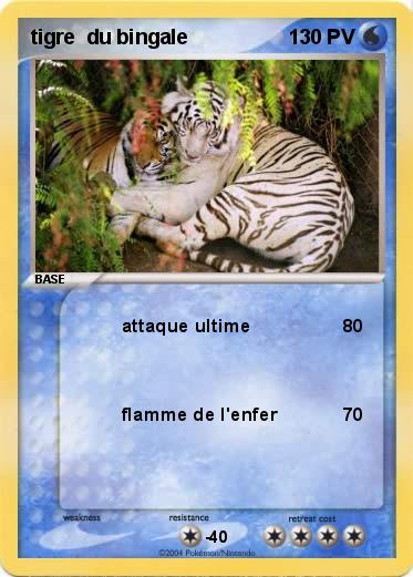 Pokemon tigre  du bingale