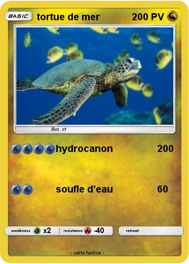Pokemon tortue de mer