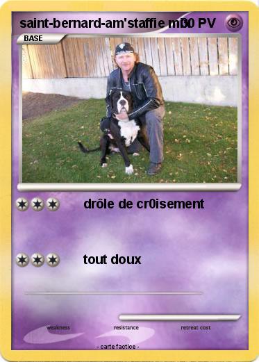 Pokemon saint-bernard-am'staffie mix