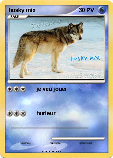 Pokemon husky mix