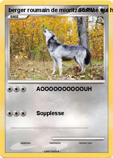 Pokemon berger roumain de mioritza croisé qui hurle