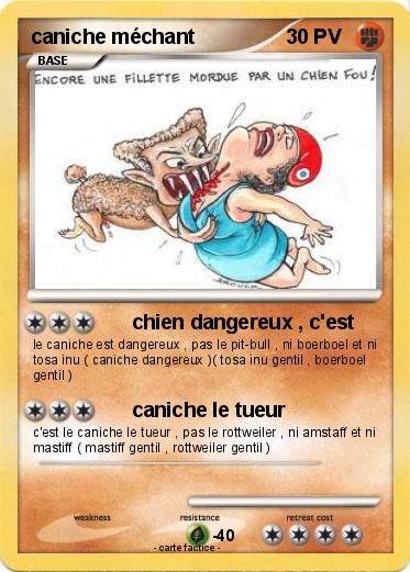Pokemon caniche méchant