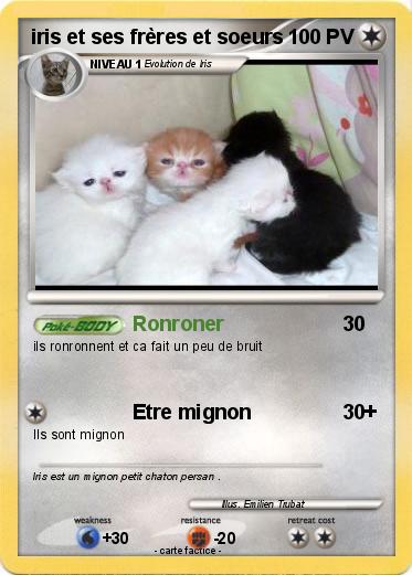 Pokemon iris et ses frères et soeurs